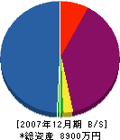 松本組 貸借対照表 2007年12月期