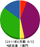 鈴木電気工事 貸借対照表 2011年6月期