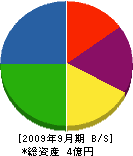 武井建設 貸借対照表 2009年9月期