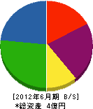 渡邊興産 貸借対照表 2012年6月期