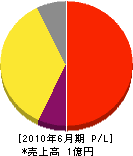 丸昭清美社 損益計算書 2010年6月期
