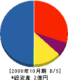 プラチナ塗装工業 貸借対照表 2008年10月期