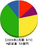 湘南合成樹脂製作所 貸借対照表 2009年2月期