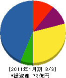 松本組 貸借対照表 2011年1月期