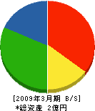 石川組 貸借対照表 2009年3月期