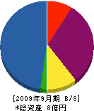 九州建装工業 貸借対照表 2009年9月期