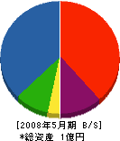 井上社寺工業 貸借対照表 2008年5月期