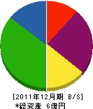 津田電業社 貸借対照表 2011年12月期