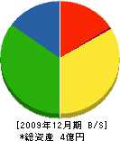 赤阪電気工業 貸借対照表 2009年12月期