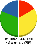 阪東電気商会 貸借対照表 2008年12月期