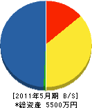 松健工業 貸借対照表 2011年5月期