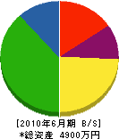 山田塗装工業所 貸借対照表 2010年6月期