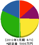 松崎鐵工 貸借対照表 2012年3月期