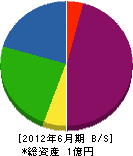 小澤造園 貸借対照表 2012年6月期