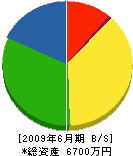 藤本建設 貸借対照表 2009年6月期