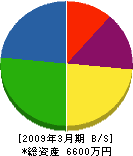 丸友坂本組 貸借対照表 2009年3月期