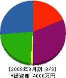 篠原商事 貸借対照表 2008年8月期