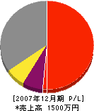 アサノ開発 損益計算書 2007年12月期