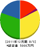 富山工業 貸借対照表 2011年12月期