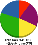 辻田設備工業 貸借対照表 2011年6月期