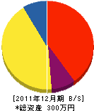 丸江配管工業所 貸借対照表 2011年12月期
