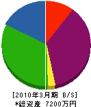 ヤマモト 貸借対照表 2010年3月期