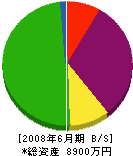 前田組 貸借対照表 2008年6月期
