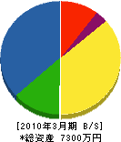 杵島開発 貸借対照表 2010年3月期
