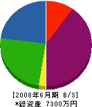 浅野木工 貸借対照表 2008年6月期