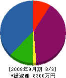 福岡建設 貸借対照表 2008年9月期