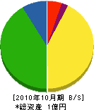 倉元電機商会 貸借対照表 2010年10月期