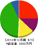 松田板金工業所 貸借対照表 2012年12月期
