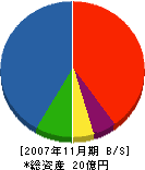 日進堂 貸借対照表 2007年11月期