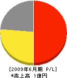 広島プロパン 損益計算書 2009年6月期