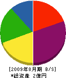 横浜技術コンサルタント 貸借対照表 2009年8月期