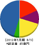 坂本土木 貸借対照表 2012年5月期