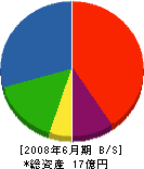 大島組 貸借対照表 2008年6月期