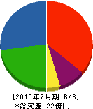 小柳商会 貸借対照表 2010年7月期