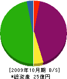 串田商事 貸借対照表 2009年10月期