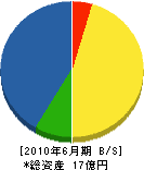 上村建設 貸借対照表 2010年6月期