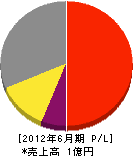 近江電設工業 損益計算書 2012年6月期