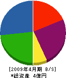 丸井増井工務店 貸借対照表 2009年4月期