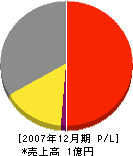 誠和堂 損益計算書 2007年12月期