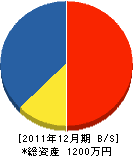 江端工務店 貸借対照表 2011年12月期