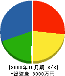 鎌田建設 貸借対照表 2008年10月期