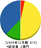 赤阪電気工業 貸借対照表 2009年12月期