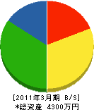 香川商会 貸借対照表 2011年3月期