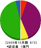 入江組 貸借対照表 2009年10月期