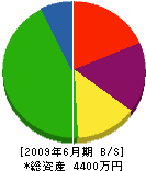 榎元建設 貸借対照表 2009年6月期