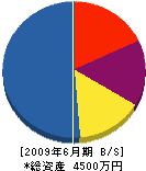 山崎土建 貸借対照表 2009年6月期